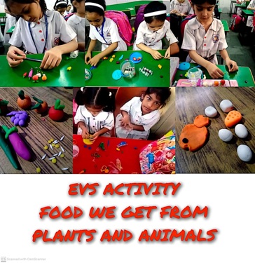 world Health Day & Earth Day